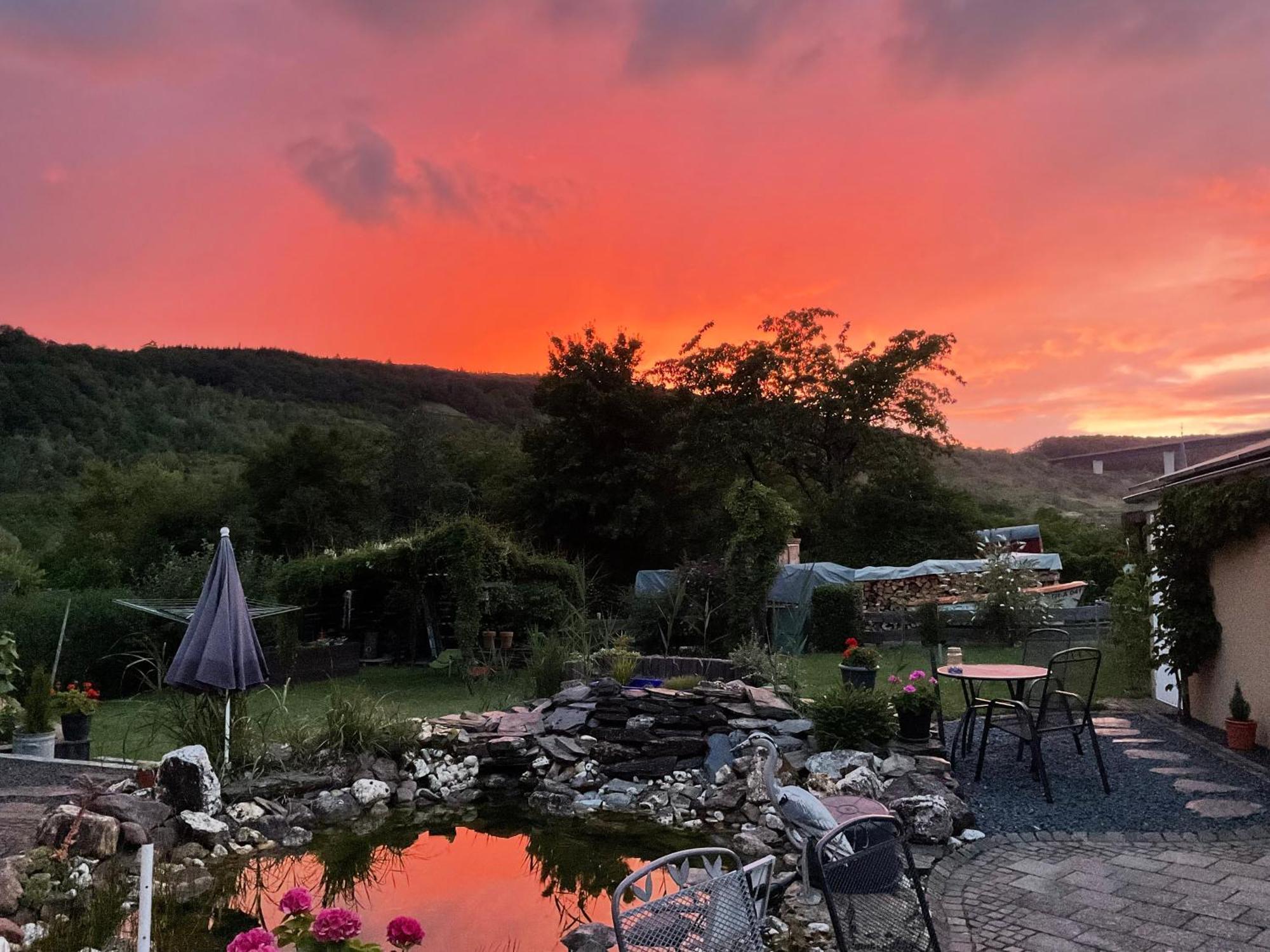 Ferienwohnungen Forneck Zeltingen-Rachtig Esterno foto